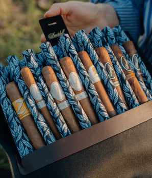 大卫杜夫旅行保湿包雪茄套装 (8支雪茄)(单独发货)