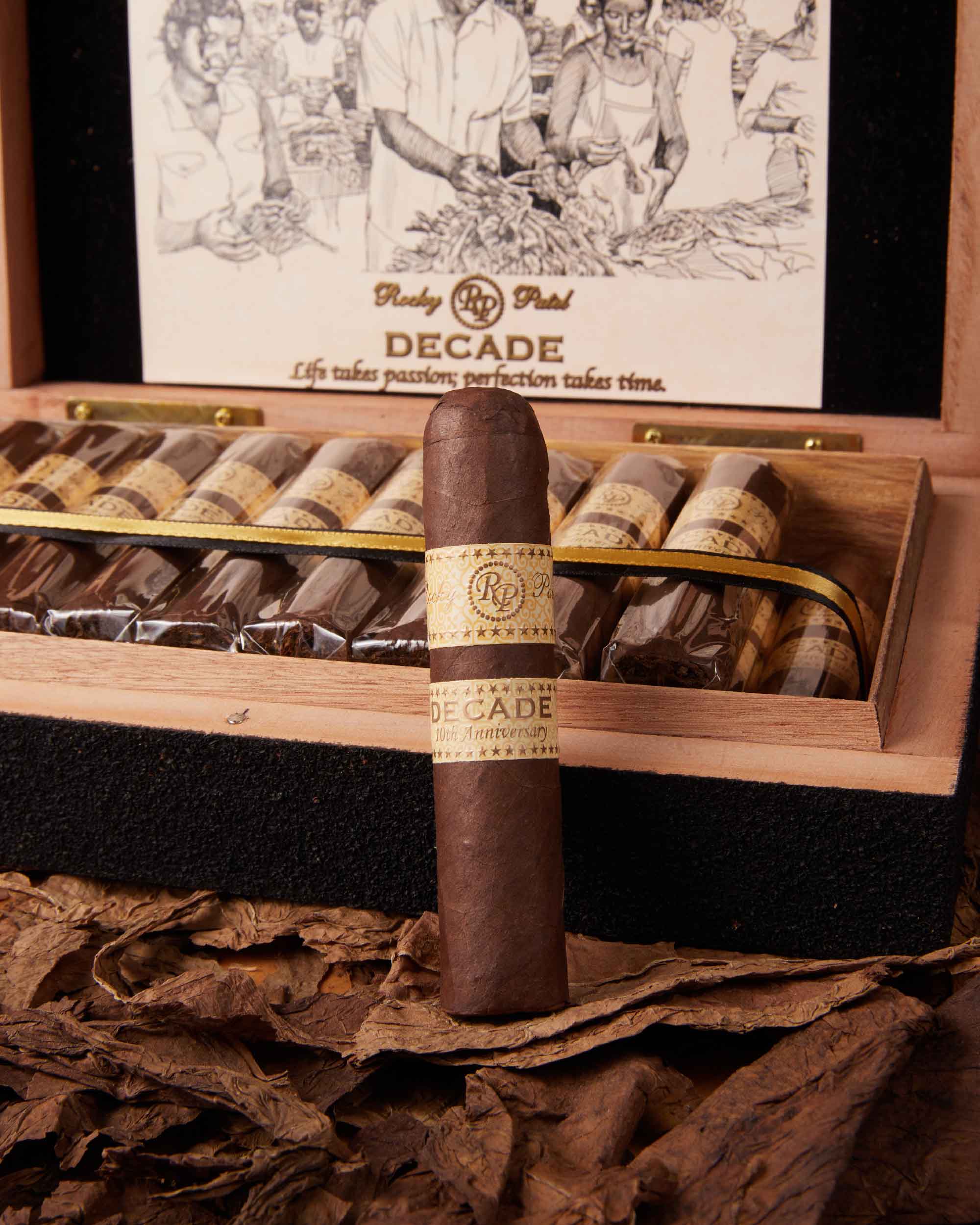Rocky Patel Decade Short Robusto
