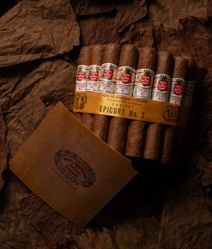 Hoyo de Monterrey Epicure No. 2 (2019 Vintage)