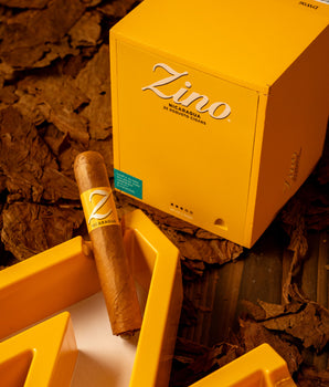 Zino Nicaragua Robusto