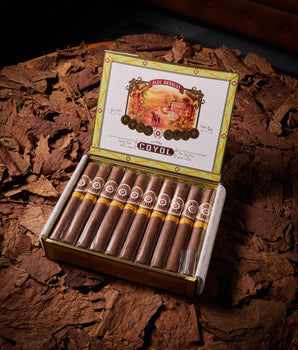 Alec Bradley Coyol Toro